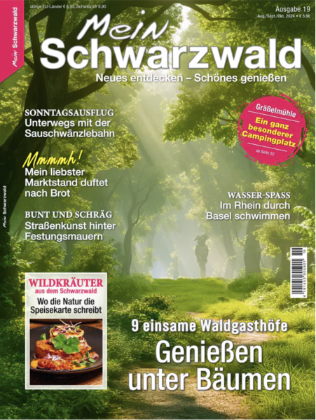 Mein Schwarzwald #19